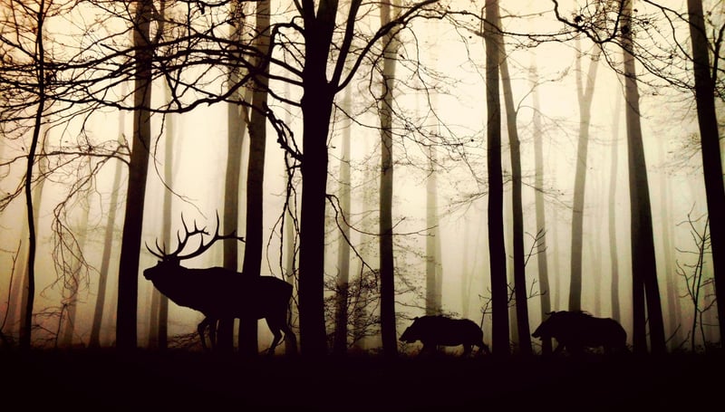 Silent Sagas